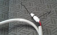 IMAG0355_cr.jpg